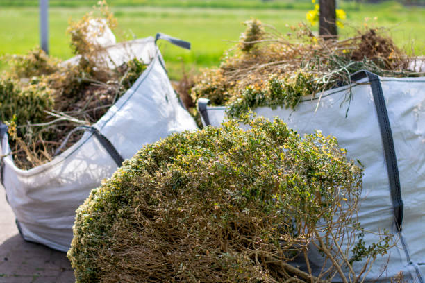 Best Mattress Removal Service  in West Park, CA